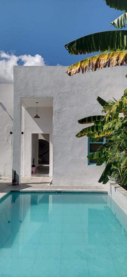 Casa Celeste Honda Honda  Luaran gambar